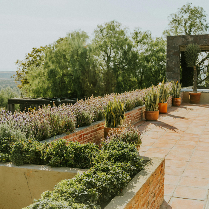 Terrasse à Hyères