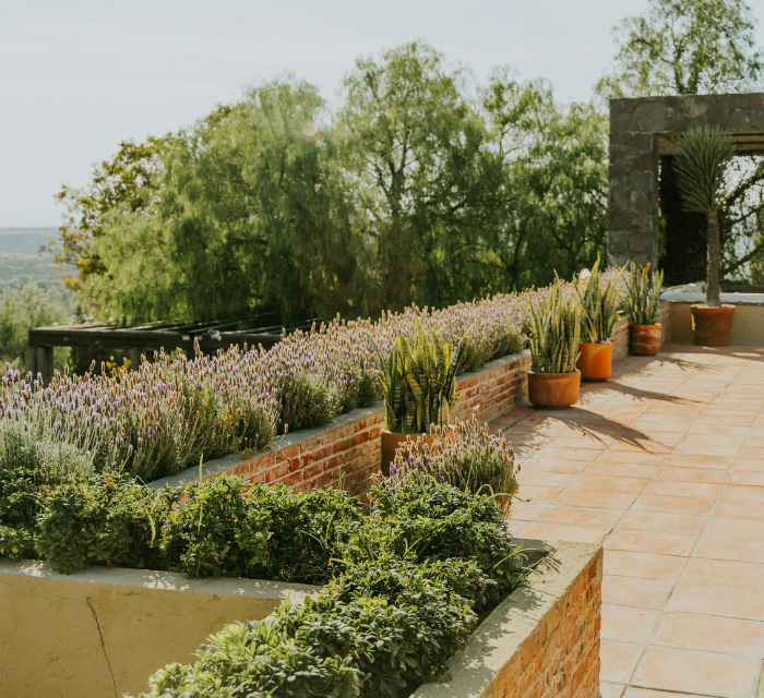 Terrasse à Hyères - Terrasse & extérieur